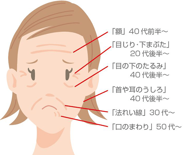 ビューティーサポート 国産バラのエイジングスキンケア Freelia フリーリア